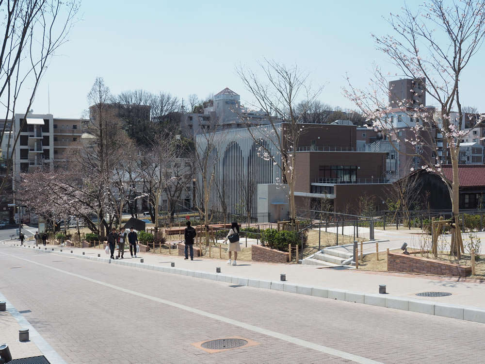 大学アプローチ修景が完成しました