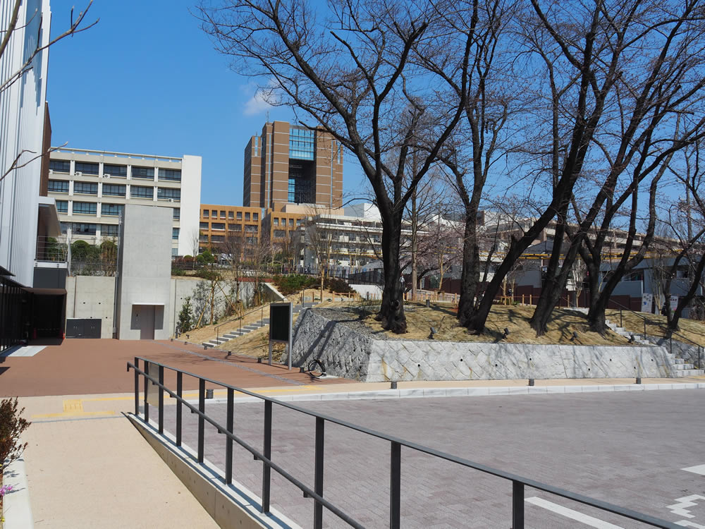 大学アプローチ修景が完成しました